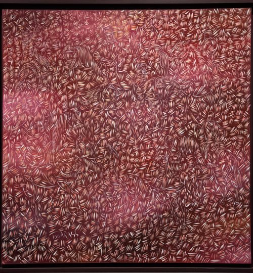 img 2500